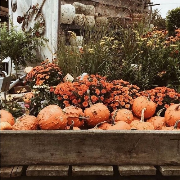 Happy Poshing! - Picture 11 of 16